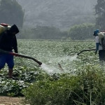 Imagen: Prensa Latina.