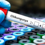 chikungunya diagnóstico