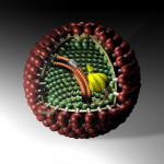 familia bornaviridae orden Mononegavirales virus