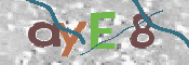 Imagen CAPTCHA