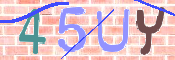 Imagen CAPTCHA